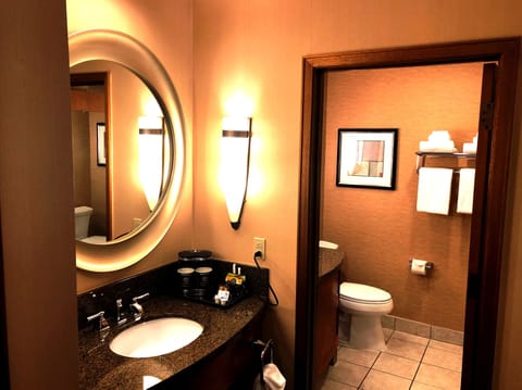 Combined shower/tub, eco-friendly toiletries, hair dryer, towels