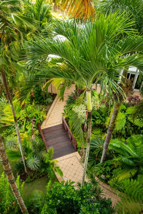 Land view from property