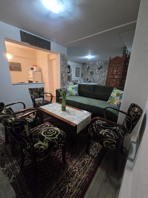 Studio, Terrace | Living area | Flat-screen TV