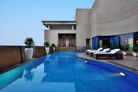 Outdoor pool, sun loungers