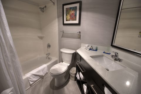 Combined shower/tub, rainfall showerhead, free toiletries, hair dryer