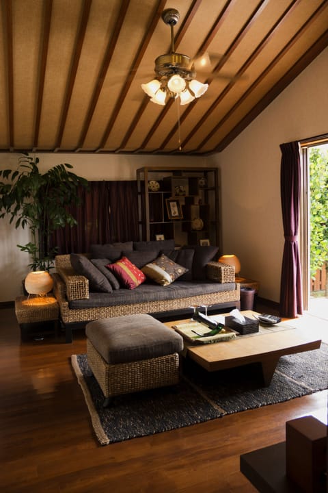 Deluxe Villa | Living area | Flat-screen TV, DVD player