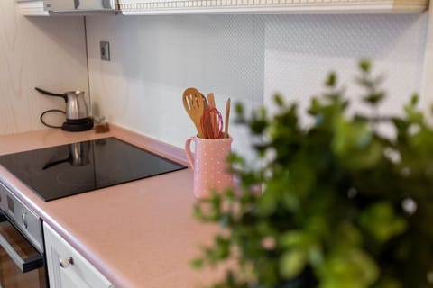 Superior Apartment | Private kitchen | Oven, dishwasher, mixer, cookware/dishes/utensils