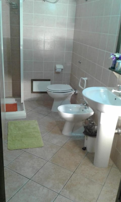 Shower, free toiletries, hair dryer, bidet