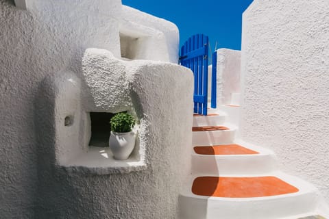 Traditional House | Courtyard view