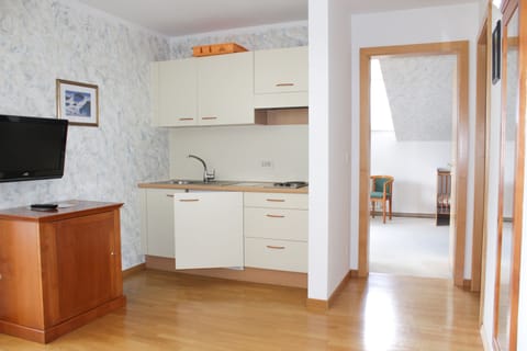 Superior Apartment | Private kitchen | Stovetop