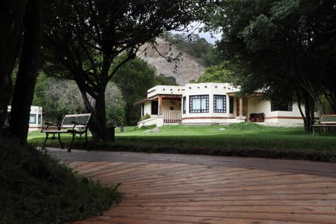 Garden view