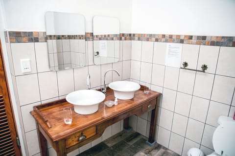 Protea Room | Bathroom sink