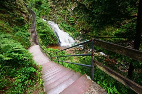 Hiking