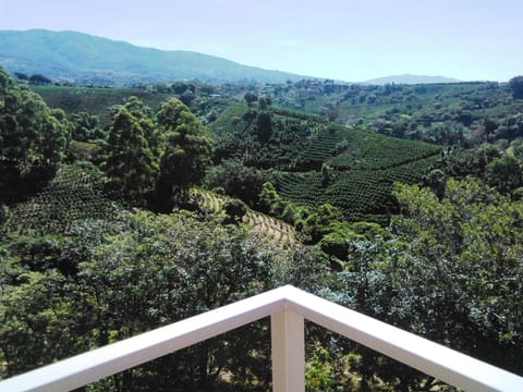 Deluxe Apartment, 2 Bedrooms | Terrace/patio