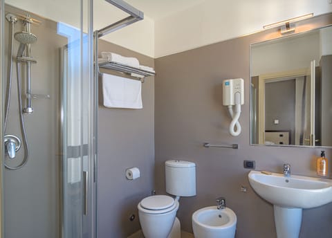 Shower, free toiletries, hair dryer, bidet