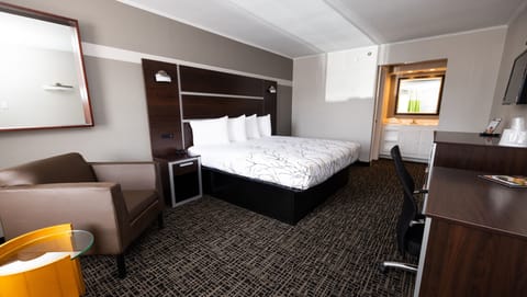 Executive Business King Nonsmoking | Free minibar, desk, free WiFi, bed sheets