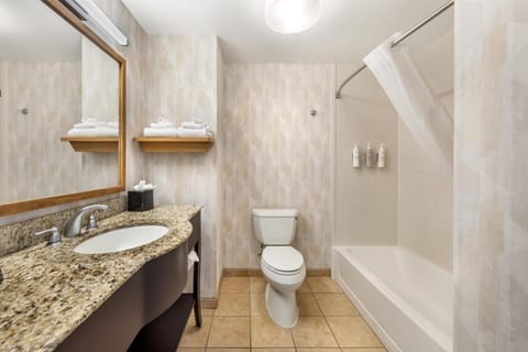 Free toiletries, hair dryer, bathrobes, towels