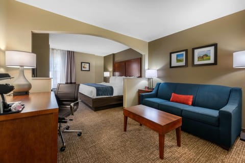 Room, 1 King Bed with Sofa bed, Non Smoking (Upgrade) | Premium bedding, desk, iron/ironing board, cribs/infant beds