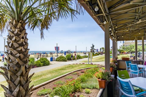 On the beach, white sand, beach bar