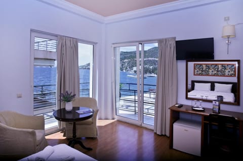 Deluxe Double Room | Living room | Flat-screen TV