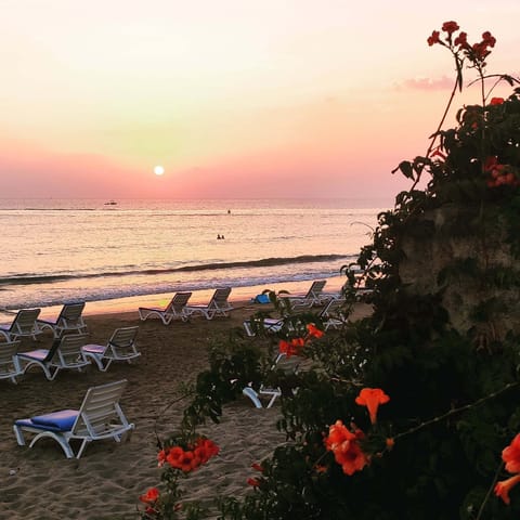 Beach nearby, beach bar