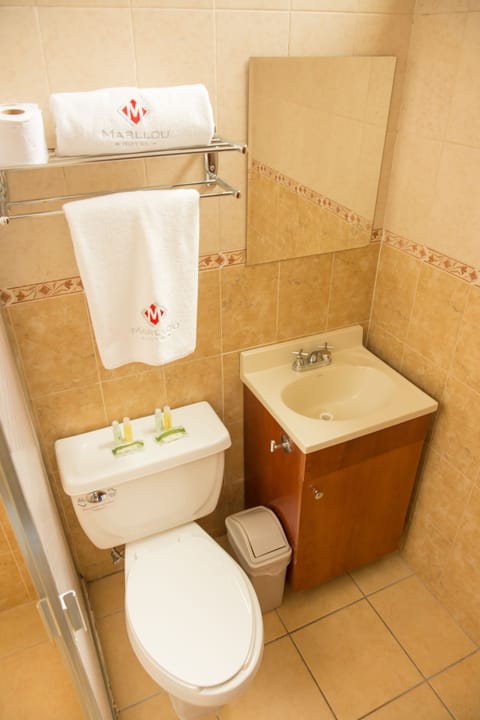 Shower, free toiletries, towels