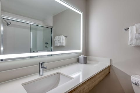 Separate tub and shower, free toiletries, hair dryer, towels