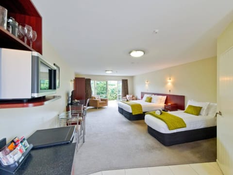 Executive Studio | Private kitchenette | Fridge, microwave, stovetop, electric kettle
