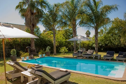 Outdoor pool, sun loungers