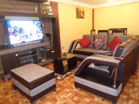 Flat-screen TV
