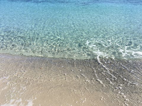 Beach nearby, white sand, free beach shuttle, beach umbrellas