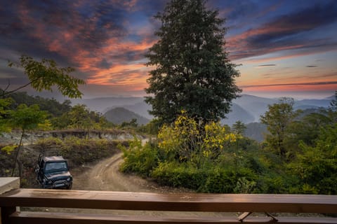 Hermitage Premium Valley View  | View from room