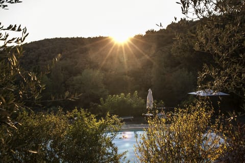 Garden view