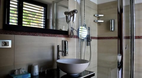 Hair dryer, bidet, towels