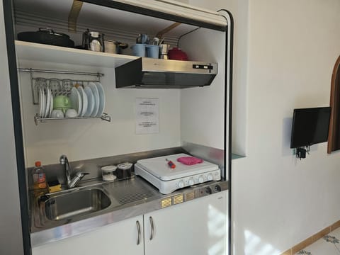 Fridge, stovetop, cookware/dishes/utensils, freezer