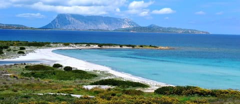 Beach nearby, white sand