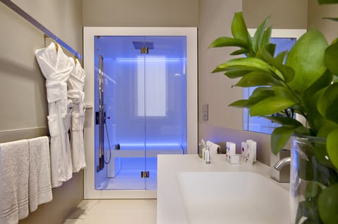 Suite | Bathroom | Shower, rainfall showerhead, designer toiletries, hair dryer