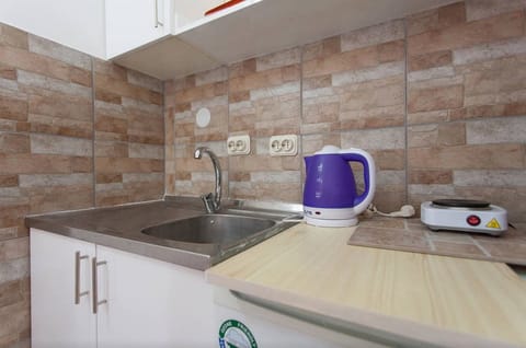Apartment for 3 people | Private kitchenette | Fridge, coffee/tea maker, electric kettle
