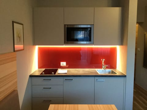Apartment, 1 Bedroom, Balcony | Private kitchenette