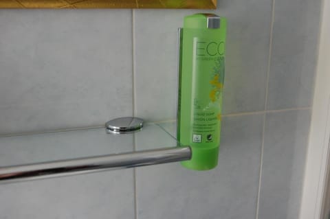 Shower, free toiletries, hair dryer, bidet