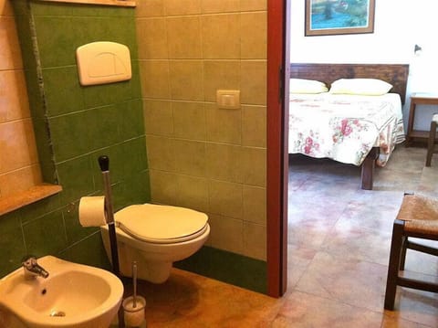 Shower, hair dryer, bidet