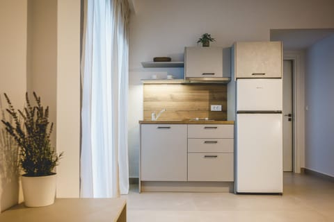 Comfort Apartment | Private kitchen | Fridge, toaster