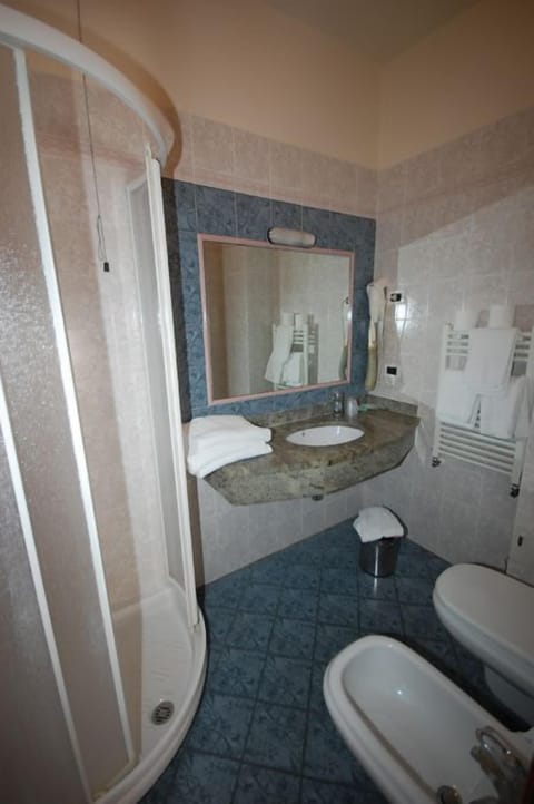 Shower, free toiletries, hair dryer, bidet