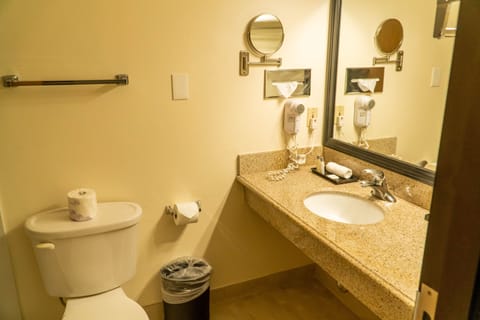 Eco-friendly toiletries, hair dryer, towels