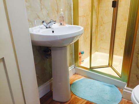 Hair dryer, towels, shampoo, toilet paper