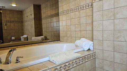 Combined shower/tub, free toiletries, hair dryer, towels