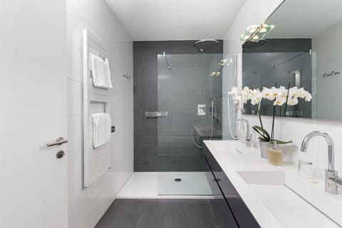 Penthouse Suite with Sauna (pets not allowed) | Bathroom | Shower, eco-friendly toiletries, hair dryer, towels