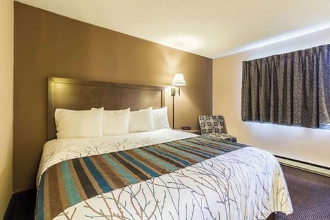 Room, 1 King Bed, Non Smoking | Exterior