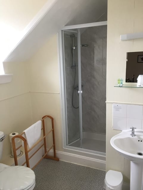 Deluxe Double Room | Bathroom | Free toiletries, towels