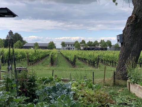Winery