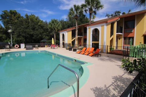 Outdoor pool, pool umbrellas, sun loungers