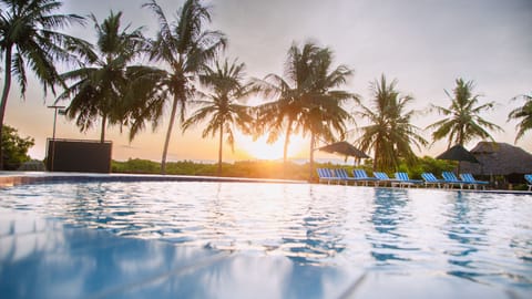 Outdoor pool, sun loungers