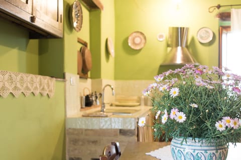 Apartment, Terrace | Private kitchenette | Fridge, stovetop, coffee/tea maker, electric kettle