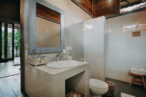 Shower, free toiletries, bidet, towels